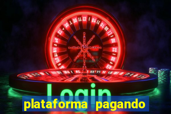 plataforma pagando bem hoje